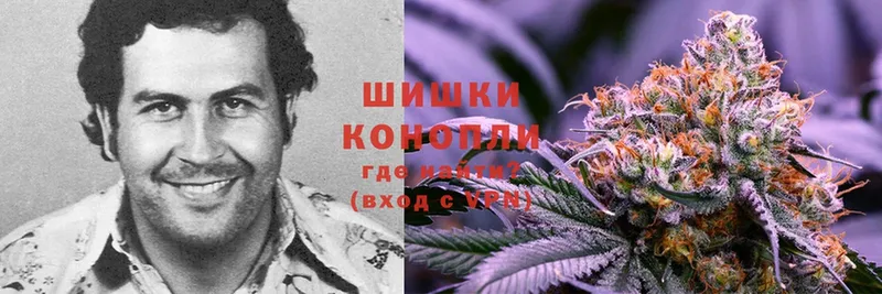 Бошки Шишки Ganja  где продают наркотики  Чистополь 